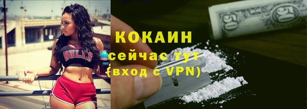 PSILOCYBIN Балабаново