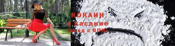 гидра Белоозёрский