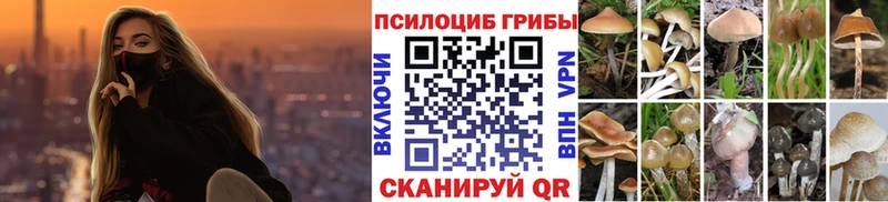 Галлюциногенные грибы Cubensis  Кинешма 